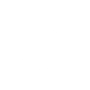RayE&Co leadership & team capability building icon white